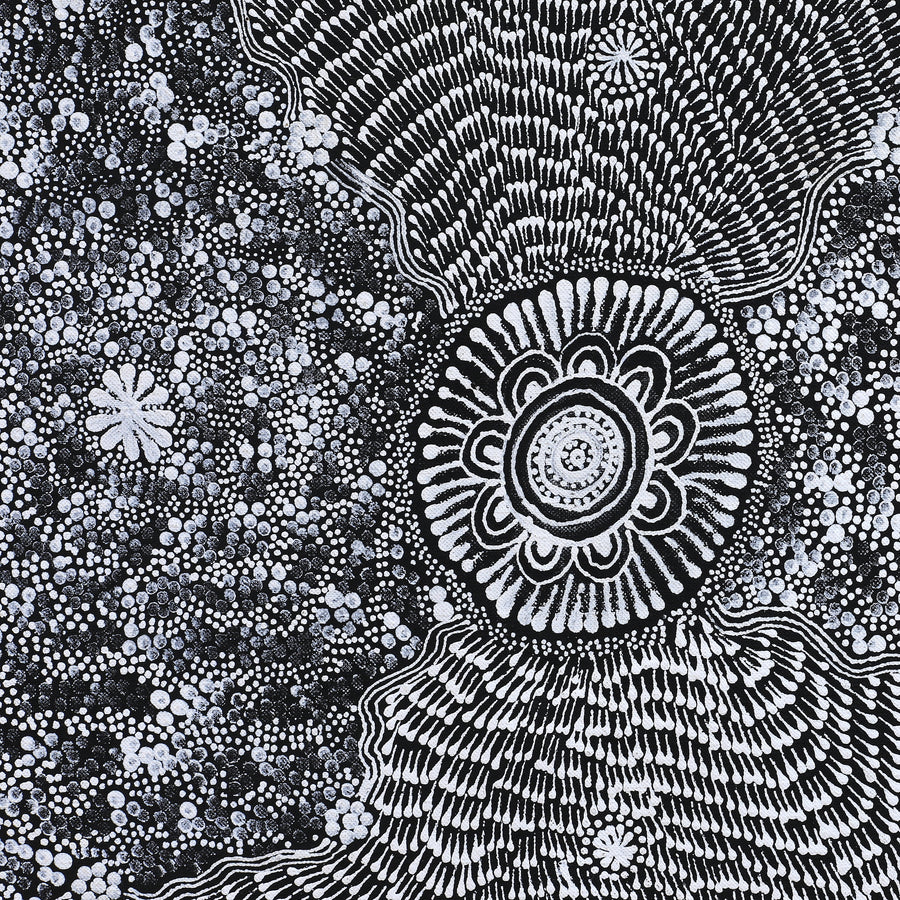 Aboriginal Artwork by Dulcie Nangala Frank, Ngarlkirdi Jukurrpa (Witchetty Grub Dreaming), 76x76cm