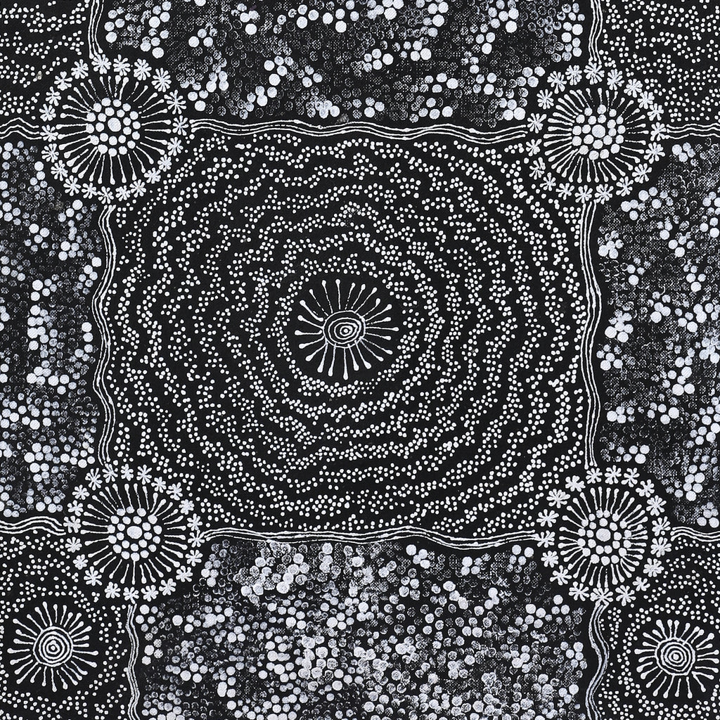 Aboriginal Artwork by Dulcie Nangala Frank, Ngarlkirdi Jukurrpa (Witchetty Grub Dreaming), 91x30cm