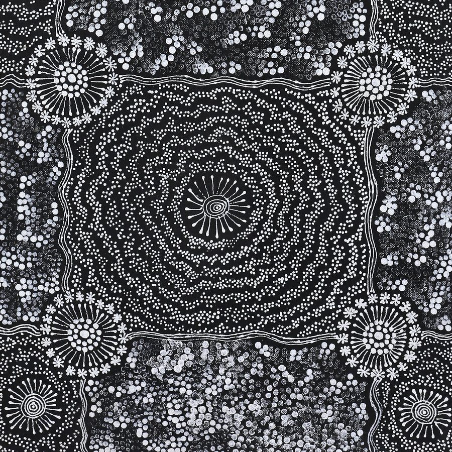Aboriginal Artwork by Dulcie Nangala Frank, Ngarlkirdi Jukurrpa (Witchetty Grub Dreaming), 91x30cm