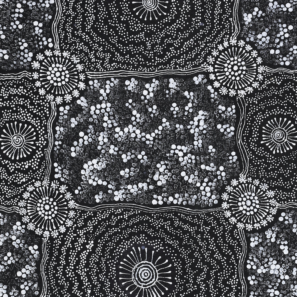 Aboriginal Artwork by Dulcie Nangala Frank, Ngarlkirdi Jukurrpa (Witchetty Grub Dreaming), 91x30cm
