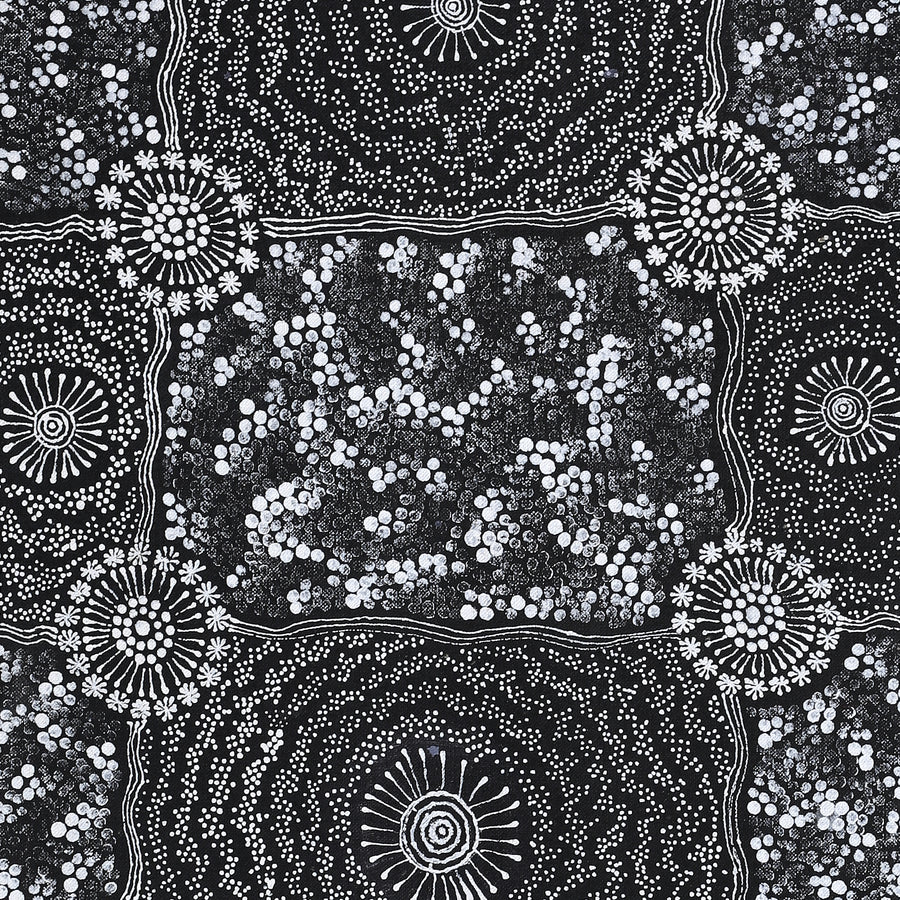 Aboriginal Artwork by Dulcie Nangala Frank, Ngarlkirdi Jukurrpa (Witchetty Grub Dreaming), 91x30cm