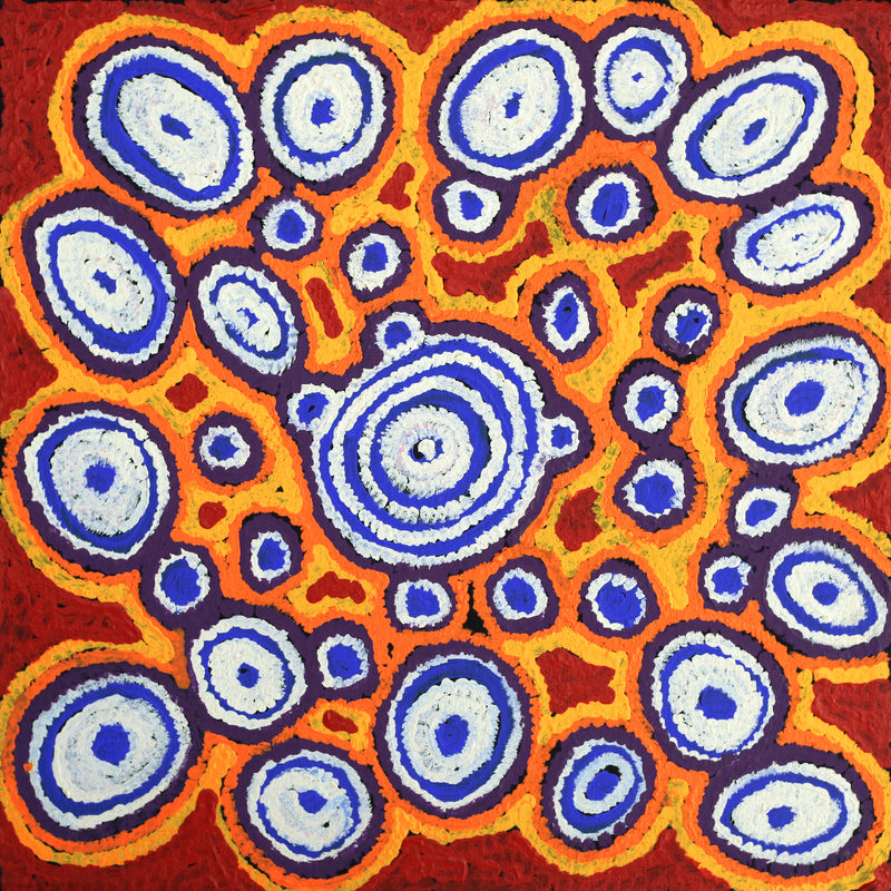 Aboriginal Artwork by Eileen Anyama, Tjiturrupa Tali, 40x40cm
