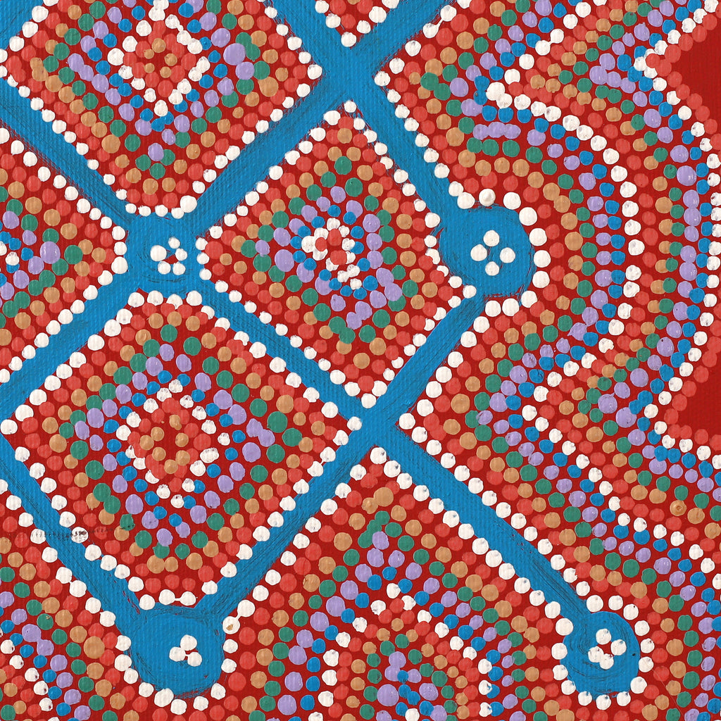 Aboriginal Art by Elizabeth Napanangka Dixon, Ngalyipi Jukurrpa (Snakevine Dreaming) - Mina Mina, 30x30cm - ART ARK®