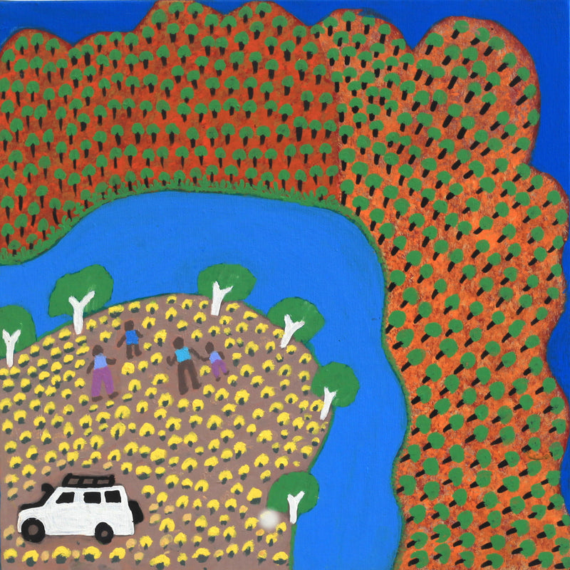 Aboriginal Artwork by Elizabeth Nampitjinpa, Mount Wedge Waterhole, 40x40cm