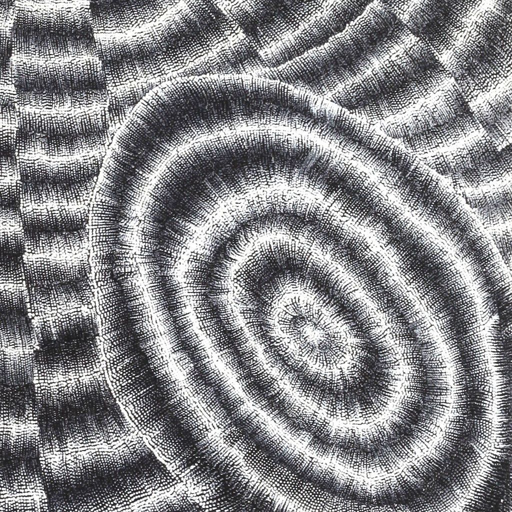 Aboriginal Artwork by Elizabeth Napaljarri Katakarinja, Jajutuma Jukurrpa (Caterpillar Dreaming), 91x91cm