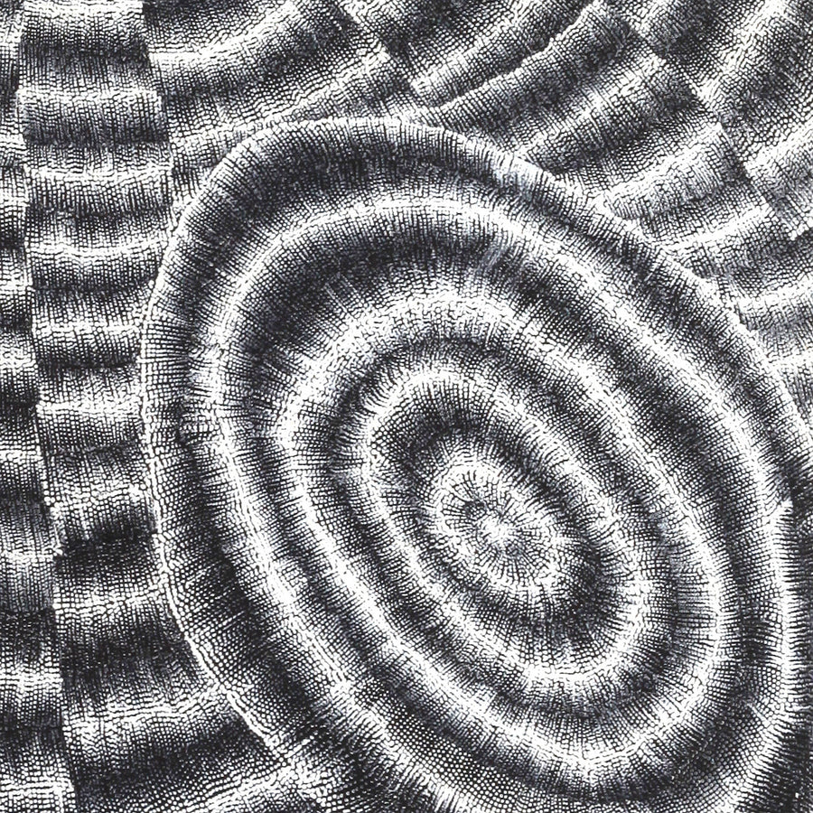 Aboriginal Artwork by Elizabeth Napaljarri Katakarinja, Jajutuma Jukurrpa (Caterpillar Dreaming), 91x91cm