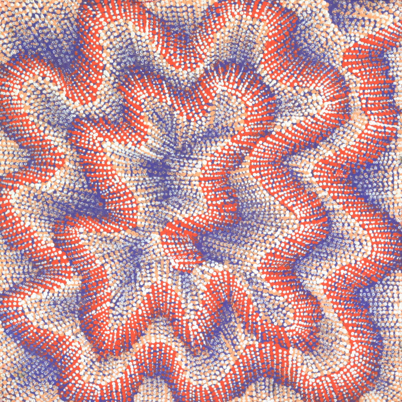 Aboriginal Artwork by Elizabeth Napaljarri Katakarinja, Jajutuma Jukurrpa (Caterpillar Dreaming), 30x30cm