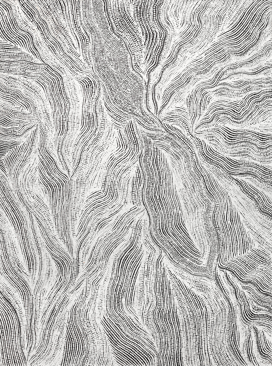 Aboriginal Artwork by Elsie Napanangka Granites, Mina Mina Jukurrpa, 122x91cm