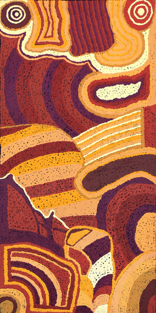 Aboriginal Artwork by Emily Buddy, Malara, 100x50cm