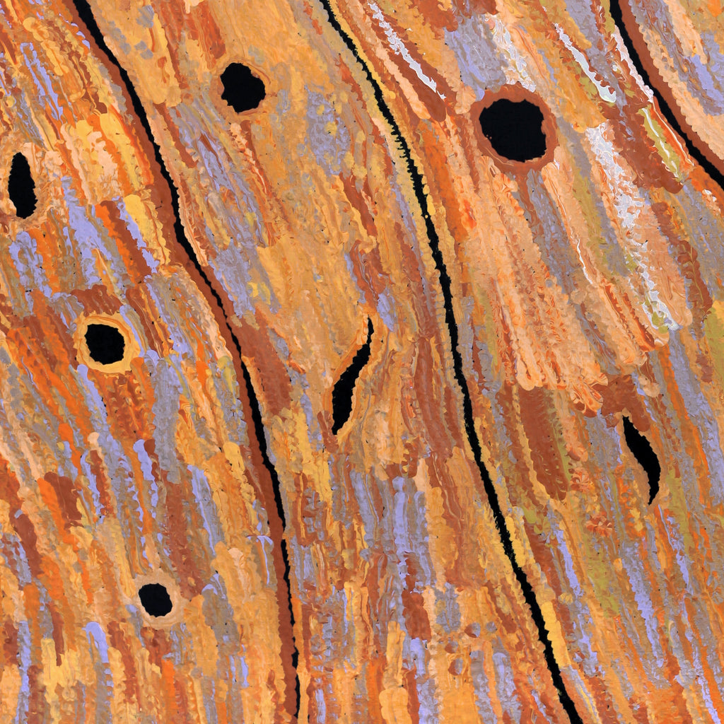 Aboriginal Artwork by Emily Nampijinpa Hudson, Yarungkanyi Jukurrpa (Mt Doreen Dreaming), 91x61cm