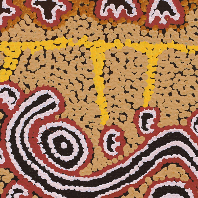 Aboriginal Artwork by Emma Nangari Roepke, Wardapi Jukurrpa (Goanna Dreaming) - Yarripurlangu, 30x30cm