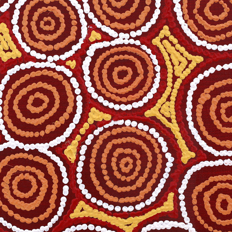Aboriginal Artwork by Emma Nangari Roepke, Lappi Lappi Jukurrpa (Dreaming), 30x30cm