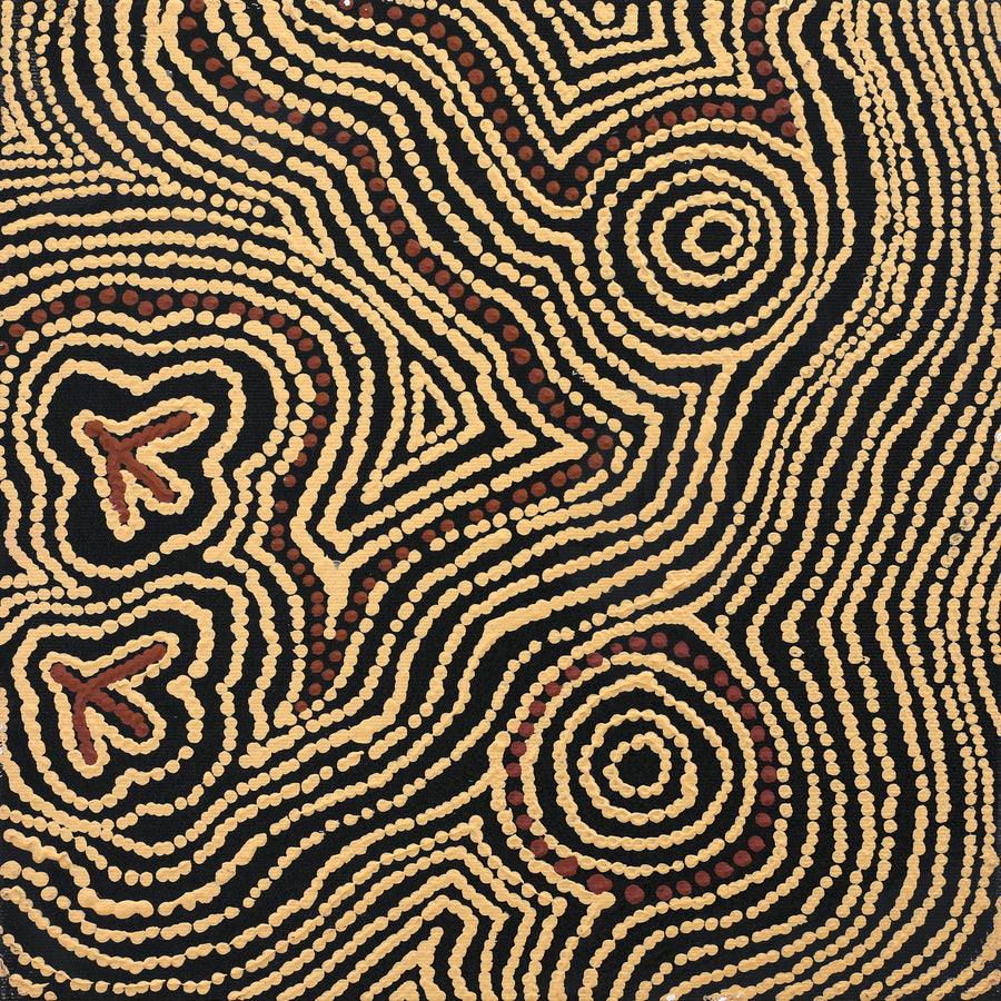 Aboriginal Artwork by Emma Nangari Roepke, Lappi Lappi Jukurrpa (Dreaming), 30x30cm