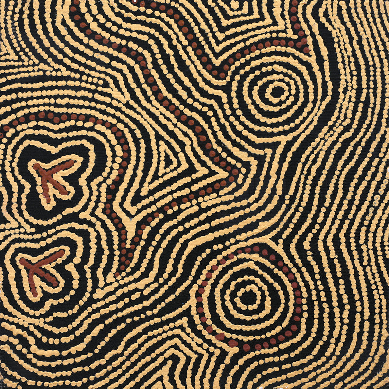 Aboriginal Artwork by Emma Nangari Roepke, Lappi Lappi Jukurrpa (Dreaming), 30x30cm