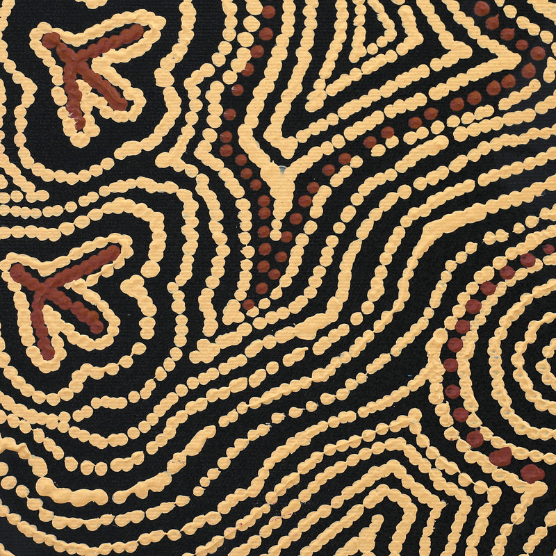 Aboriginal Artwork by Emma Nangari Roepke, Lappi Lappi Jukurrpa (Dreaming), 30x30cm