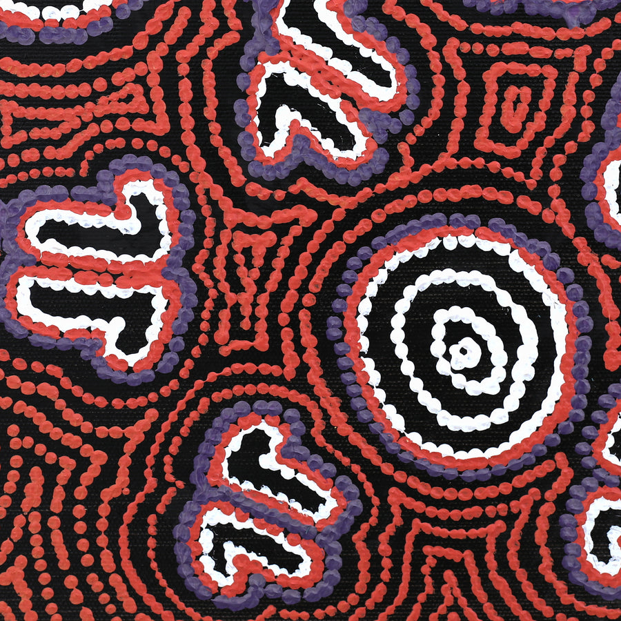 Aboriginal Artwork by Emma Nangari Roepke, Marlu Jukurrpa (Red Kangaroo Dreaming) Yarnardilyi & Jurnti, 30x30cm