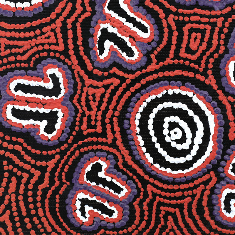 Aboriginal Artwork by Emma Nangari Roepke, Marlu Jukurrpa (Red Kangaroo Dreaming) Yarnardilyi & Jurnti, 30x30cm