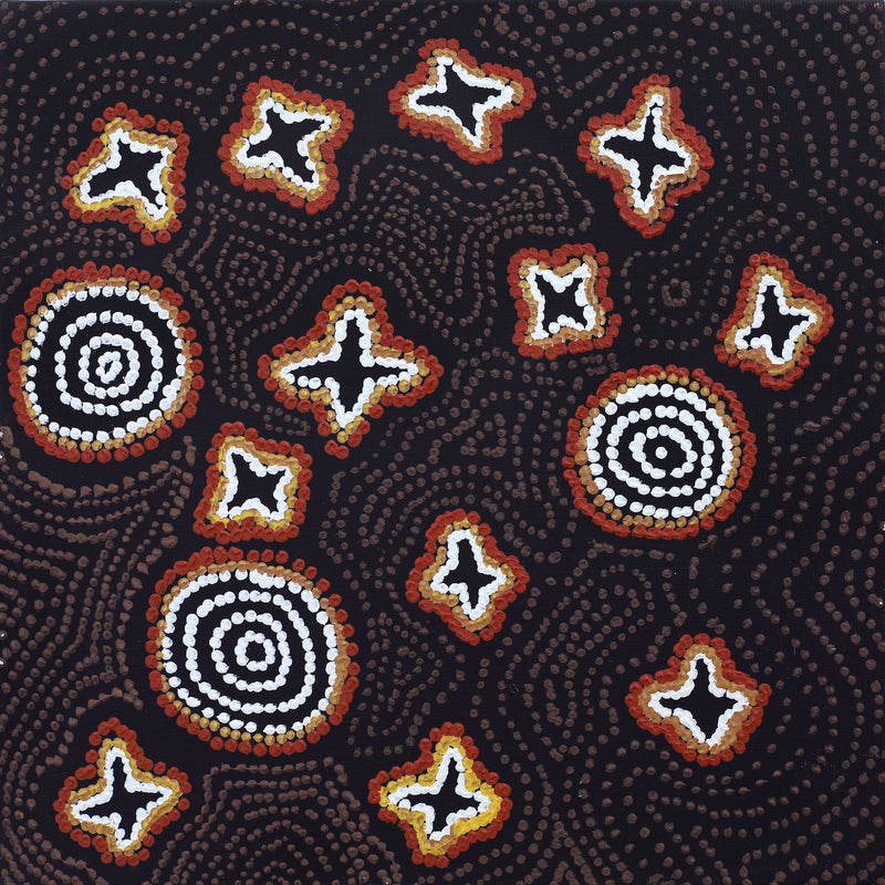 Aboriginal Artwork by Emma Nangari Roepke, Wardapi Jukurrpa Lappi Lappi Jukurrpa (Lappi Lappi Dreaming), 30x30cm
