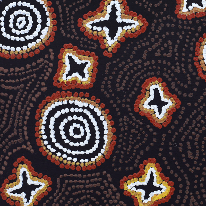 Aboriginal Artwork by Emma Nangari Roepke, Wardapi Jukurrpa Lappi Lappi Jukurrpa (Lappi Lappi Dreaming), 30x30cm