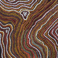 Aboriginal Artwork by Emma Nangari Roepke, Wardapi Jukurrpa Lappi Lappi Jukurrpa (Lappi Lappi Dreaming), 30x30cm