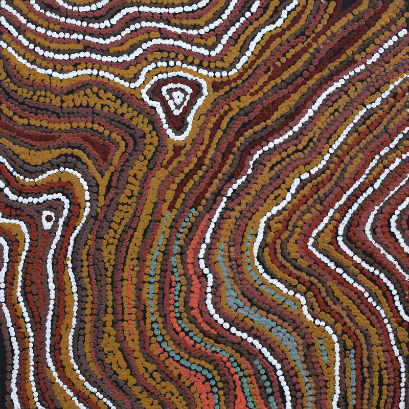 Aboriginal Artwork by Emma Nangari Roepke, Wardapi Jukurrpa Lappi Lappi Jukurrpa (Lappi Lappi Dreaming), 30x30cm