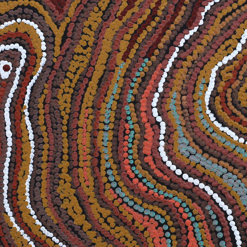 Aboriginal Artwork by Emma Nangari Roepke, Wardapi Jukurrpa Lappi Lappi Jukurrpa (Lappi Lappi Dreaming), 30x30cm