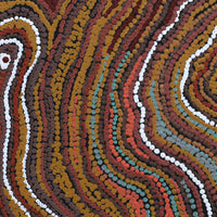 Aboriginal Artwork by Emma Nangari Roepke, Wardapi Jukurrpa Lappi Lappi Jukurrpa (Lappi Lappi Dreaming), 30x30cm