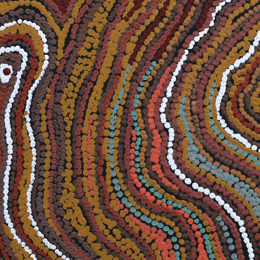 Aboriginal Artwork by Emma Nangari Roepke, Wardapi Jukurrpa Lappi Lappi Jukurrpa (Lappi Lappi Dreaming), 30x30cm
