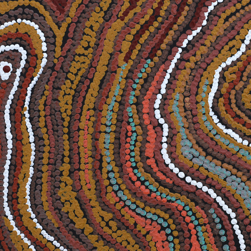 Aboriginal Artwork by Emma Nangari Roepke, Wardapi Jukurrpa Lappi Lappi Jukurrpa (Lappi Lappi Dreaming), 30x30cm