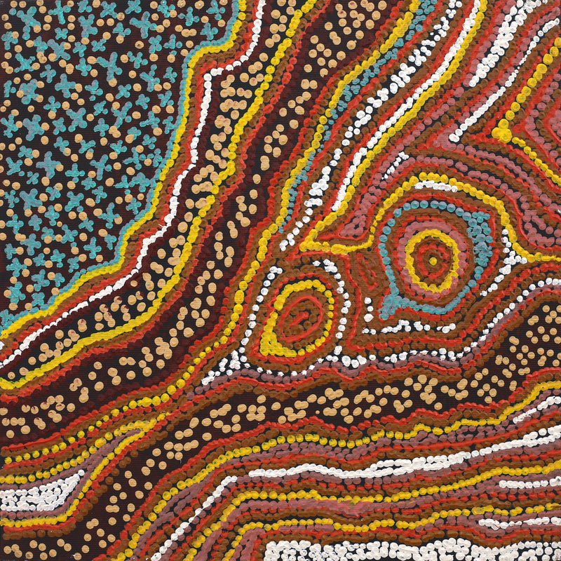 Aboriginal Artwork by Emma Nangari Roepke, Wardapi Jukurrpa Lappi Lappi Jukurrpa (Dreaming), 30x30cm