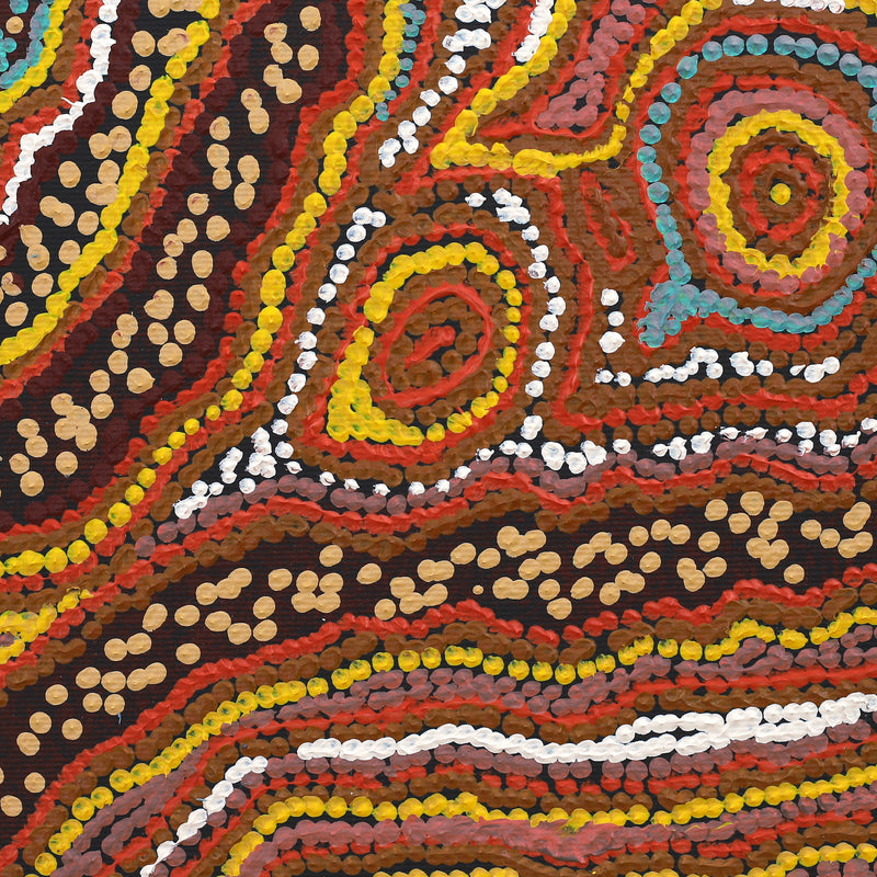 Aboriginal Artwork by Emma Nangari Roepke, Wardapi Jukurrpa Lappi Lappi Jukurrpa (Dreaming), 30x30cm