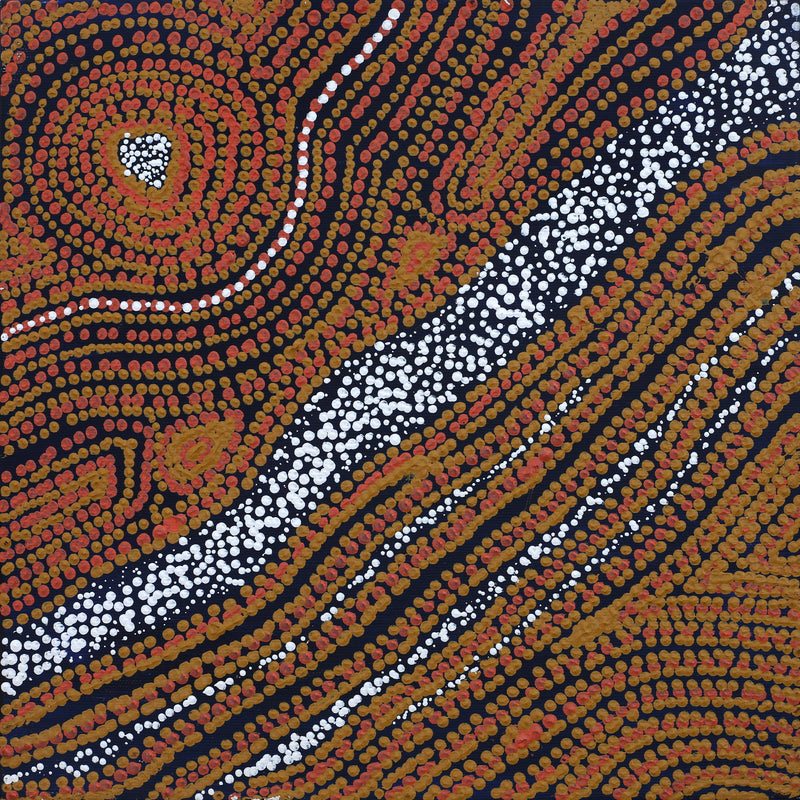 Aboriginal Artwork by Emma Nangari Roepke, Wardapi Jukurrpa Lappi Lappi Jukurrpa (Dreaming), 30x30cm