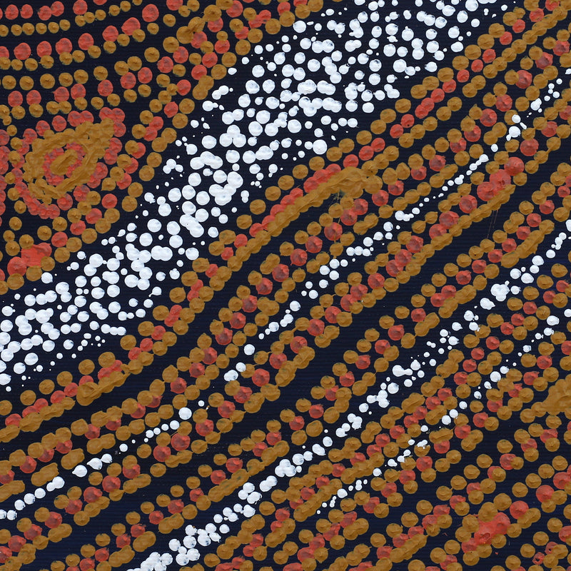 Aboriginal Artwork by Emma Nangari Roepke, Wardapi Jukurrpa Lappi Lappi Jukurrpa (Dreaming), 30x30cm
