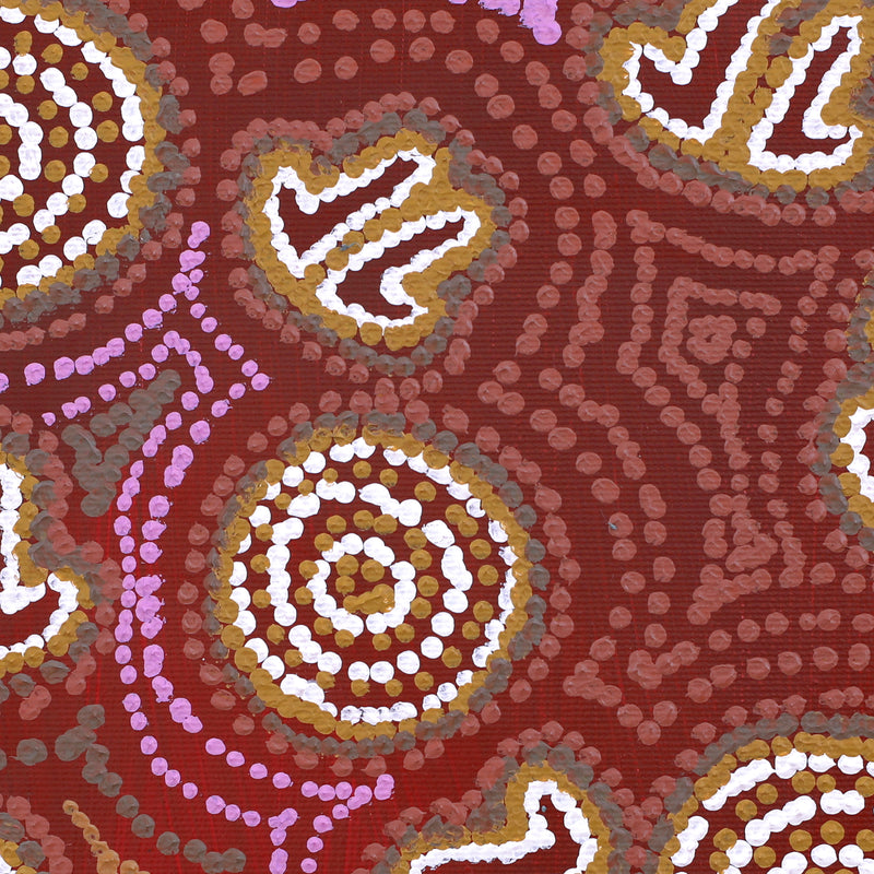 Aboriginal Artwork by Emma Nangari Roepke, Lappi Lappi Jukurrpa (Dreaming), 30x30cm
