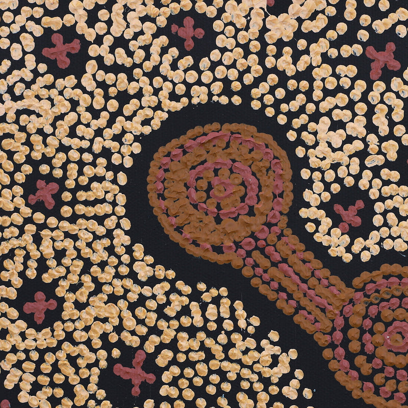 Aboriginal Artwork by Emma Nangari Roepke, Lappi Lappi Jukurrpa (Dreaming), 30x30cm