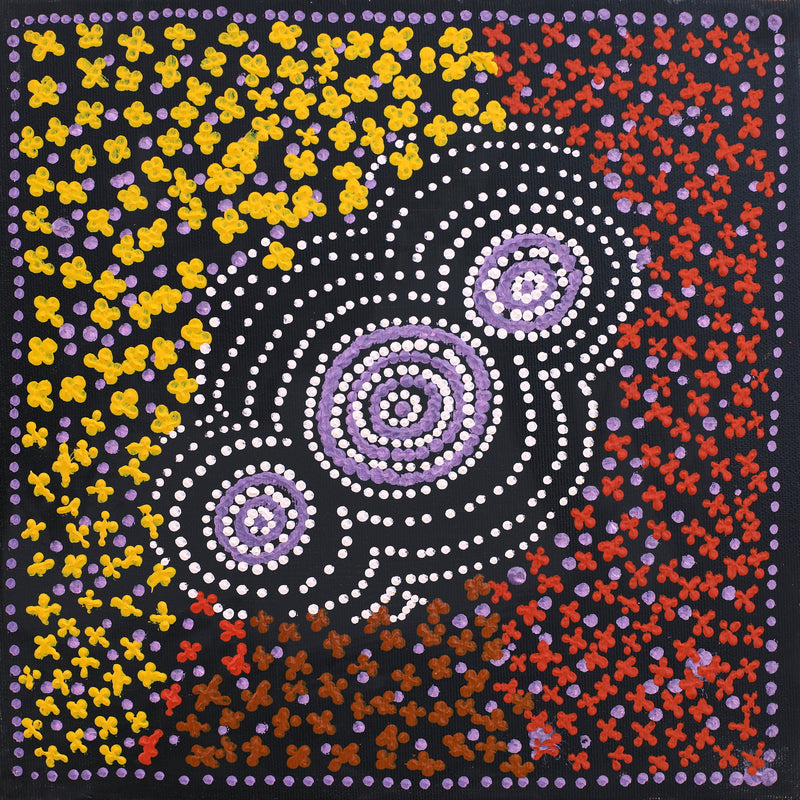 Aboriginal Artwork by Emma Nangari Roepke, Lappi Lappi Jukurrpa (Dreaming), 30x30cm