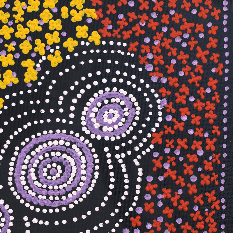 Aboriginal Artwork by Emma Nangari Roepke, Lappi Lappi Jukurrpa (Dreaming), 30x30cm