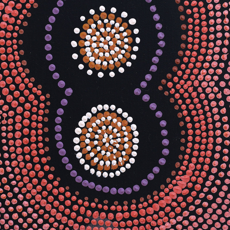Aboriginal Artwork by Emma Nangari Roepke, Lappi Lappi Jukurrpa (Dreaming), 30x30cm