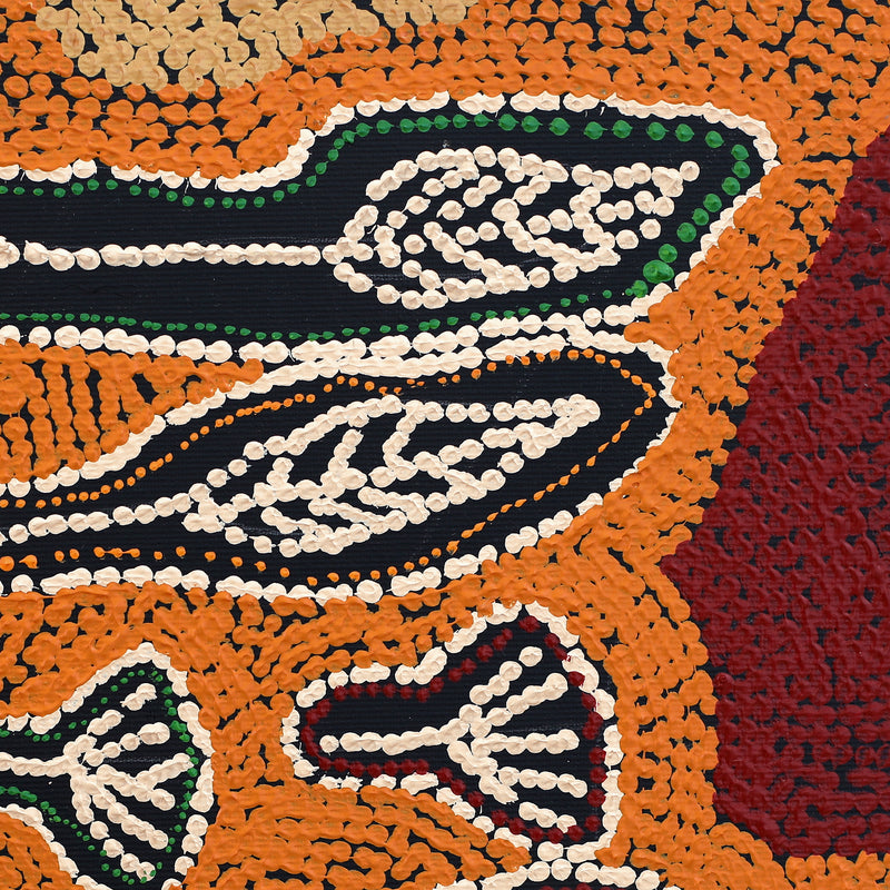 Aboriginal Artwork by Emma Nangari Roepke, Lappi Lappi Jukurrpa (Dreaming), 30x30cm