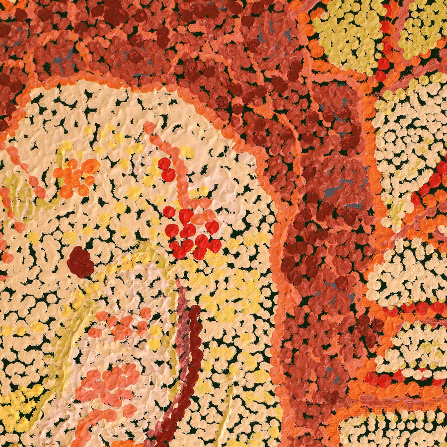 Aboriginal Artwork by Emma Nangari Roepke, 61x46cm
