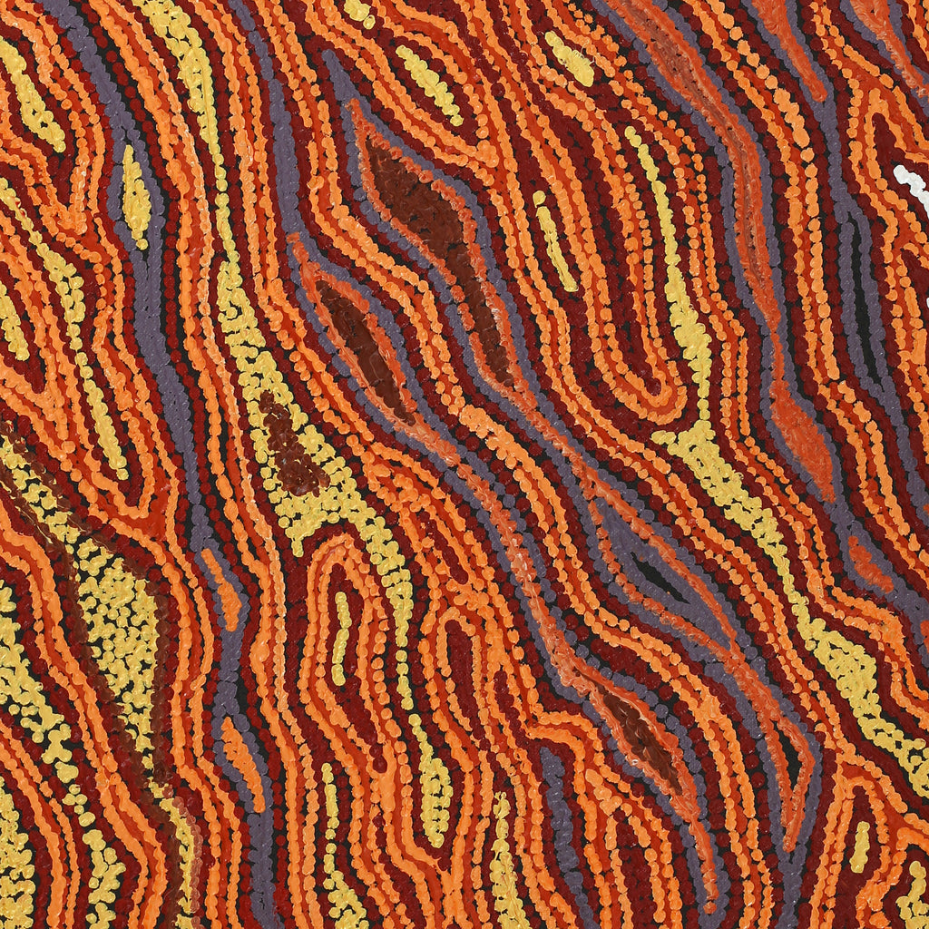 Aboriginal Artwork by Emma Nangari Roepke, Lappi Lappi Jukurrpa, 76x30cm