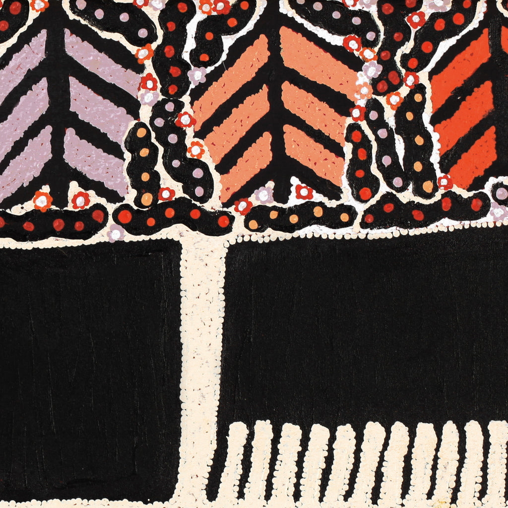 Aboriginal Artwork by Ena Fly, My father’s country - Lupul Tjukurrpa, 100x40cm
