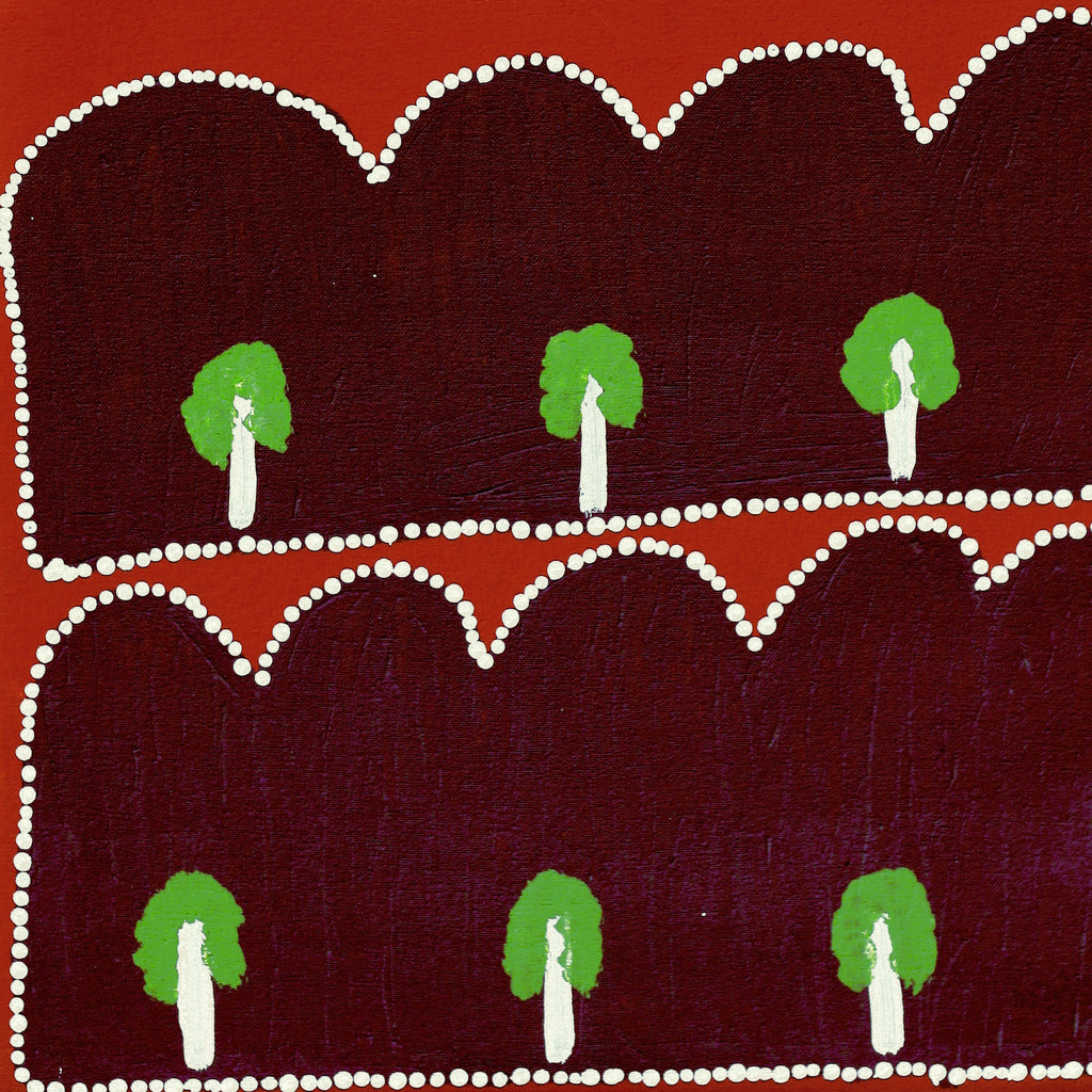 Aboriginal Artwork by Ena Fly, My father’s country – Lupul Tjukurrpa, 91x40cm