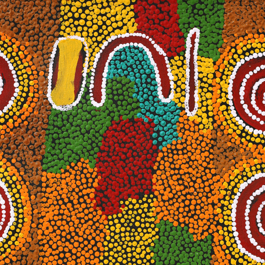 Aboriginal Art by Erica Napurrurla Ross,  Janganpa Jukurrpa (Brush-tail Possum Dreaming) - Mawurrji, 61x46cm - ART ARK®