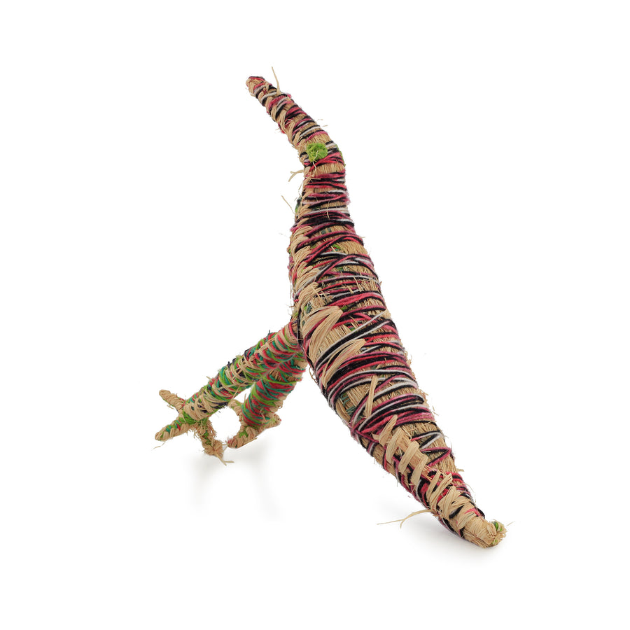 Aboriginal Artwork by Erica Shorty - Tjulpu (Bird) Tjanpi Sculpture