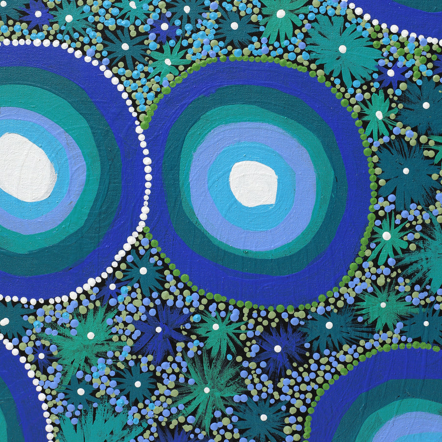 Aboriginal Artwork by Estelle Connelly, Walka Wiru Ngura Wiru, 91x76cm