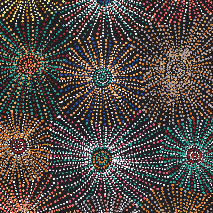Aboriginal Artwork by Evelyn Nangala Robertson, Ngapa Jukurrpa - Puyurru, 152x61cm