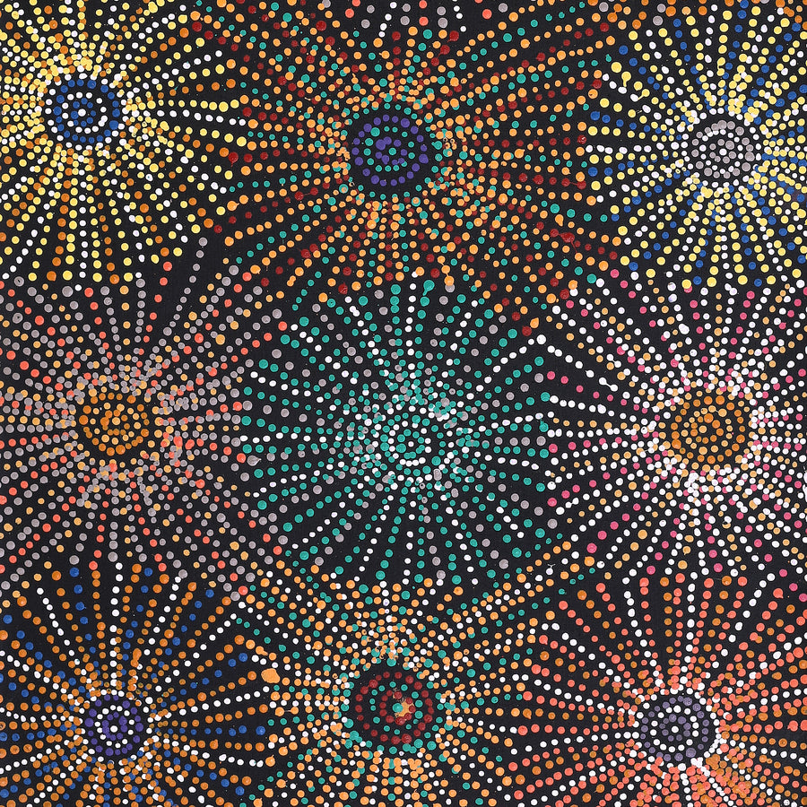 Aboriginal Artwork by Evelyn Nangala Robertson, Ngapa Jukurrpa - Puyurru, 152x61cm