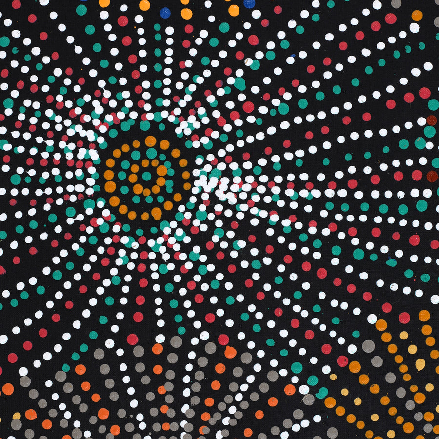 Aboriginal Artwork by Evelyn Nangala Robertson, Ngapa Jukurrpa - Puyurru, 152x61cm