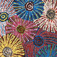 Aboriginal Artwork by Evelyn Nangala Robertson, Ngapa Jukurrpa (Water Dreaming) - Puyurru, 61x30cm